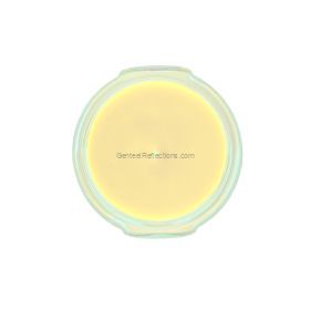 3104 Pineapple Crush® 3.4 oz - Tyler Candle Company